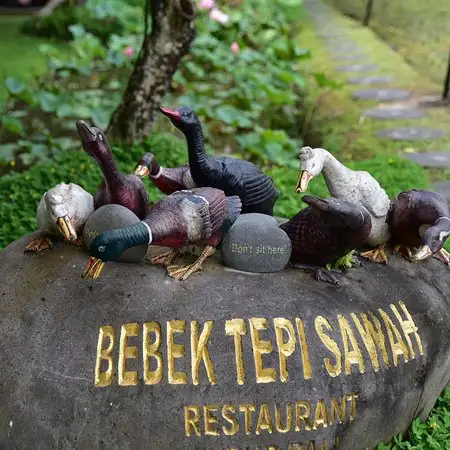 Gambar Makanan Bebek Tepi Sawah 12