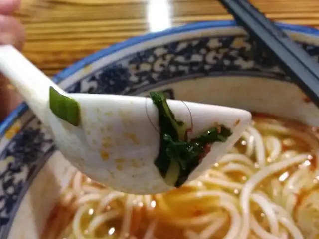 Go Noodle House -  有間麵館 Food Photo 15