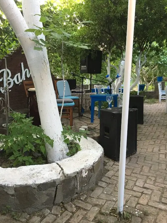 Bahçe Restaurant'nin yemek ve ambiyans fotoğrafları 13