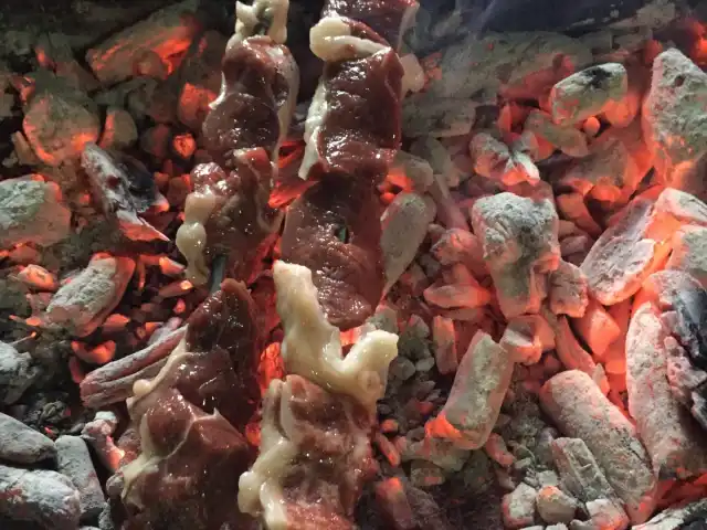 Osmangazi Kebap'nin yemek ve ambiyans fotoğrafları 9