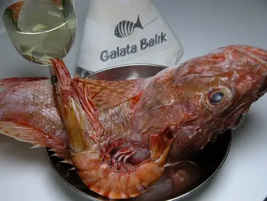 Galata Balık'nin yemek ve ambiyans fotoğrafları 10