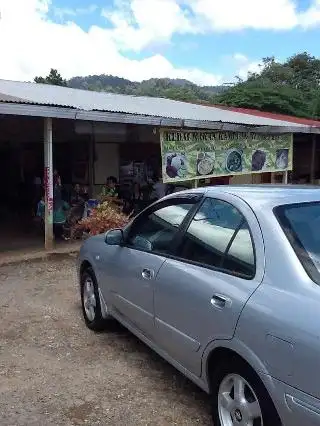 Kedai Makan Tempoyak Ikan Patin