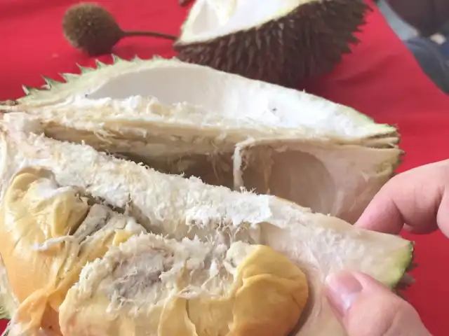 Khun Poh Durian Farm Food Photo 2