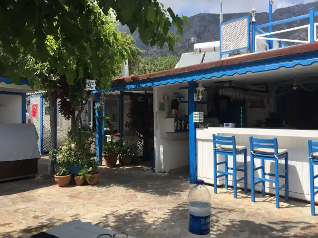 Sardelaki Greek Tavern'nin yemek ve ambiyans fotoğrafları 38