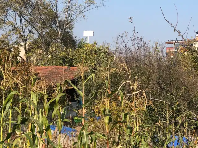 Saklı Bahçe Cafe - Restaurant'nin yemek ve ambiyans fotoğrafları 4