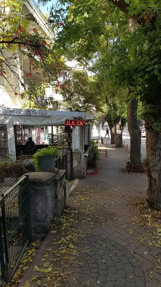 Zula Çay Evi'nin yemek ve ambiyans fotoğrafları 31