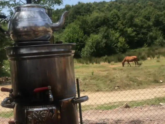 Asmali Konak'nin yemek ve ambiyans fotoğrafları 9