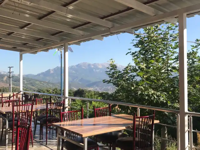 Alpu Köyü Kardelen Pide Fırını'nin yemek ve ambiyans fotoğrafları 5