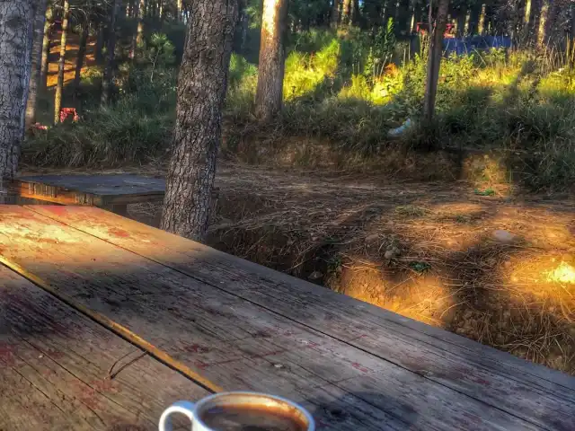 Aydos Cennet Cafe'nin yemek ve ambiyans fotoğrafları 5