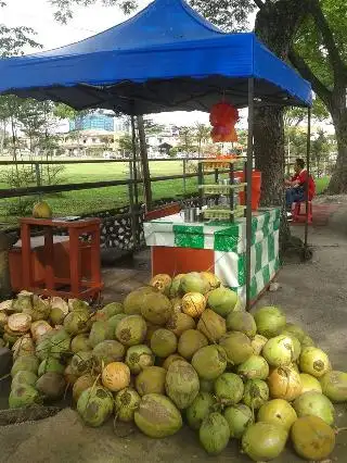 Kelapa Muda Adi Tasik Ikan Haruan Food Photo 1