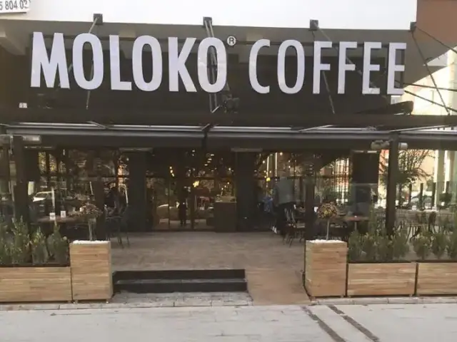 Moloko Coffee
