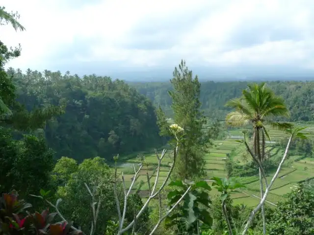 Gambar Makanan Lereng Agung 8