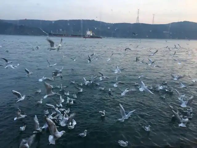 Rumeli Kavak Spor Kulübü Çay Bahçesi & Restaurant'nin yemek ve ambiyans fotoğrafları 40