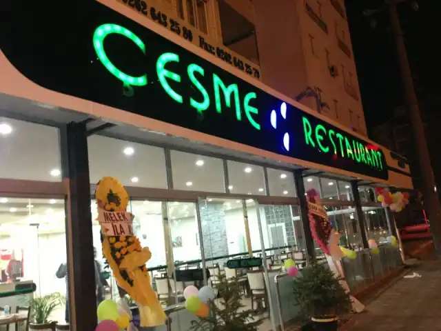 Çesme Restaurant'nin yemek ve ambiyans fotoğrafları 4