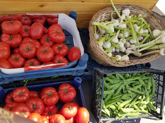 Tikoko'nin yemek ve ambiyans fotoğrafları 3