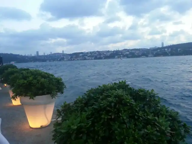 Ajıa Restaurant'nin yemek ve ambiyans fotoğrafları 5