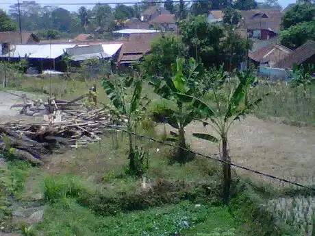 Gambar Makanan Warung Nangka 11