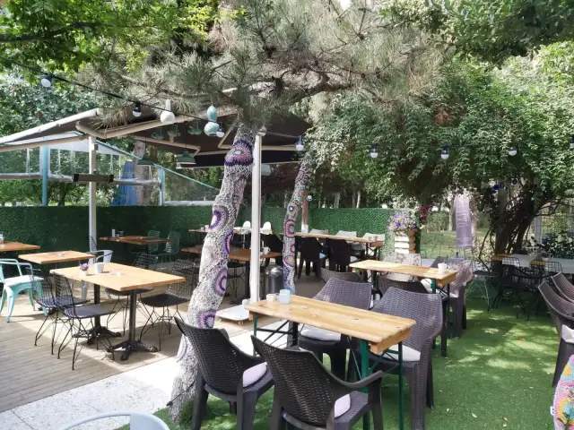 DailyDose Cafe'nin yemek ve ambiyans fotoğrafları 5