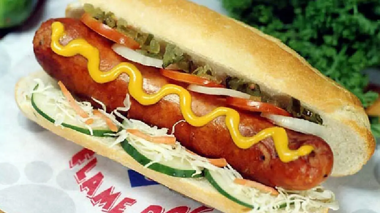 Chicago Flame Dog - Festival Mall