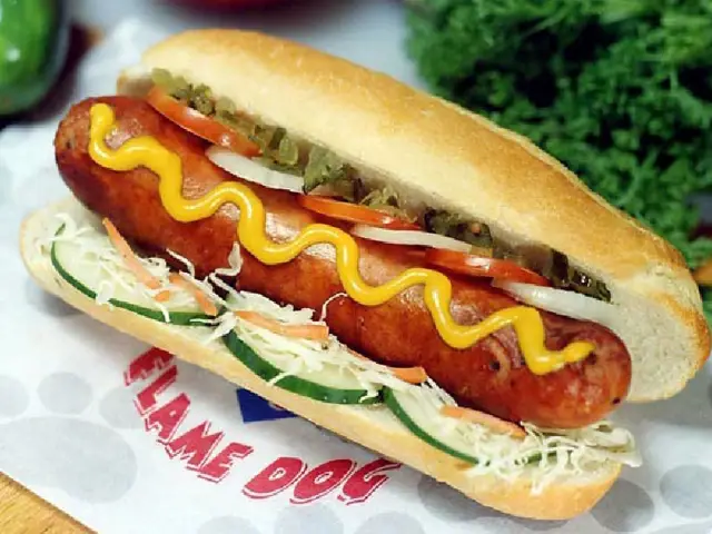 Chicago Flame Dog - Festival Mall Food Photo 1