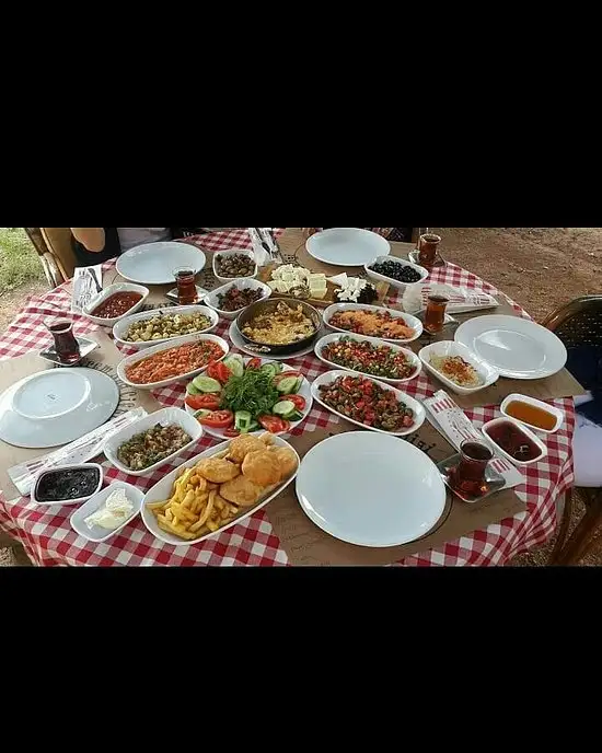 Meyrem Ana Çiftliği'nin yemek ve ambiyans fotoğrafları 3