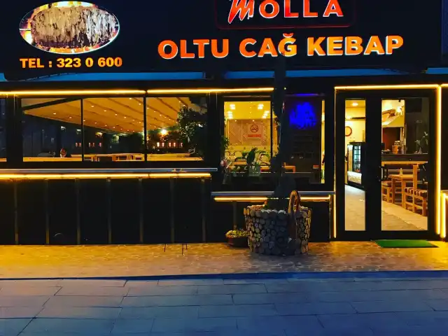Molla Oltu Cağ Kebap'nin yemek ve ambiyans fotoğrafları 15