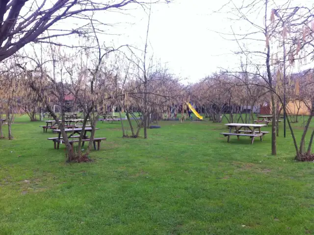 Koza Garden'nin yemek ve ambiyans fotoğrafları 10