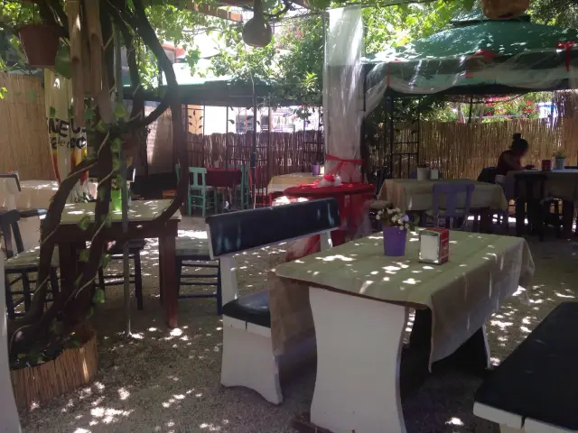 Limon Cafe Saklı Bahçe'nin yemek ve ambiyans fotoğrafları 5