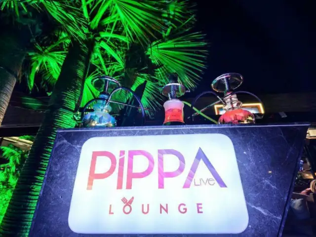 Pippa Live Lounge'nin yemek ve ambiyans fotoğrafları 14