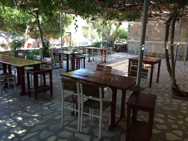 Dalli Motel Restaurant'nin yemek ve ambiyans fotoğrafları 4