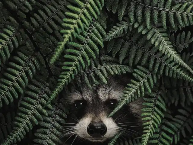 Ekmekçi Gurme'nin yemek ve ambiyans fotoğrafları 5