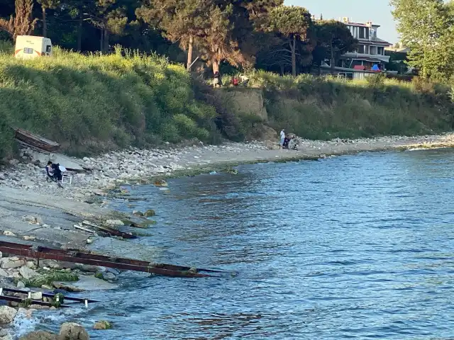 Sevgi Yolu'nin yemek ve ambiyans fotoğrafları 6