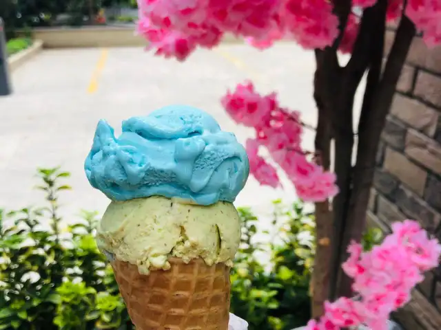 Ponte Di Gelato'nin yemek ve ambiyans fotoğrafları 8