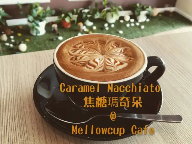 Mellow Cup Cafe Food Photo 9