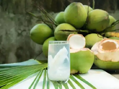 KELAPA MUDA & KELAPA PARUT MAS AL LENGKONG GUDANG 