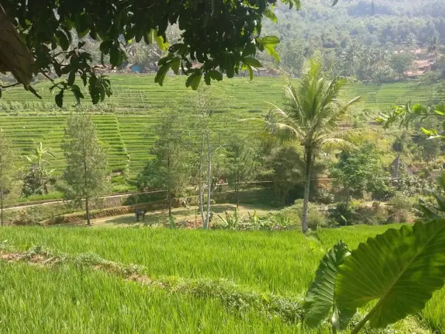 Gambar Makanan Liwet Pak Asep Stroberi 14