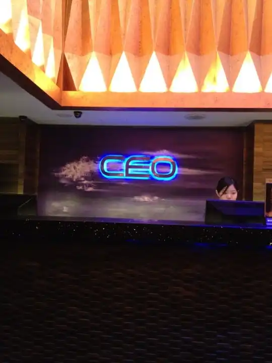 Neway CEO Karaoke Box