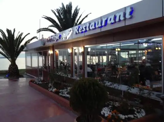 Palmiye Fish Restaurant Tuzla'nin yemek ve ambiyans fotoğrafları 37
