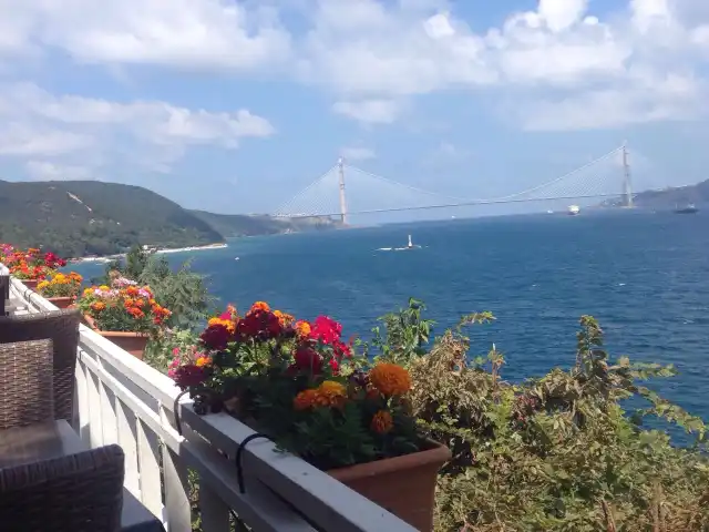 Boğaziçi Yakamoz Balık Restaurant'nin yemek ve ambiyans fotoğrafları 19