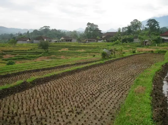 Gambar Makanan Warung Telaga Sidemen 9