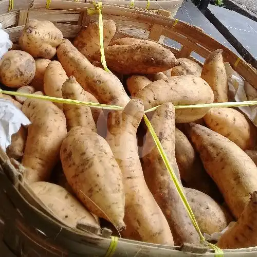 Gambar Makanan Ubi Cilembu Madu Bhayangkara 8