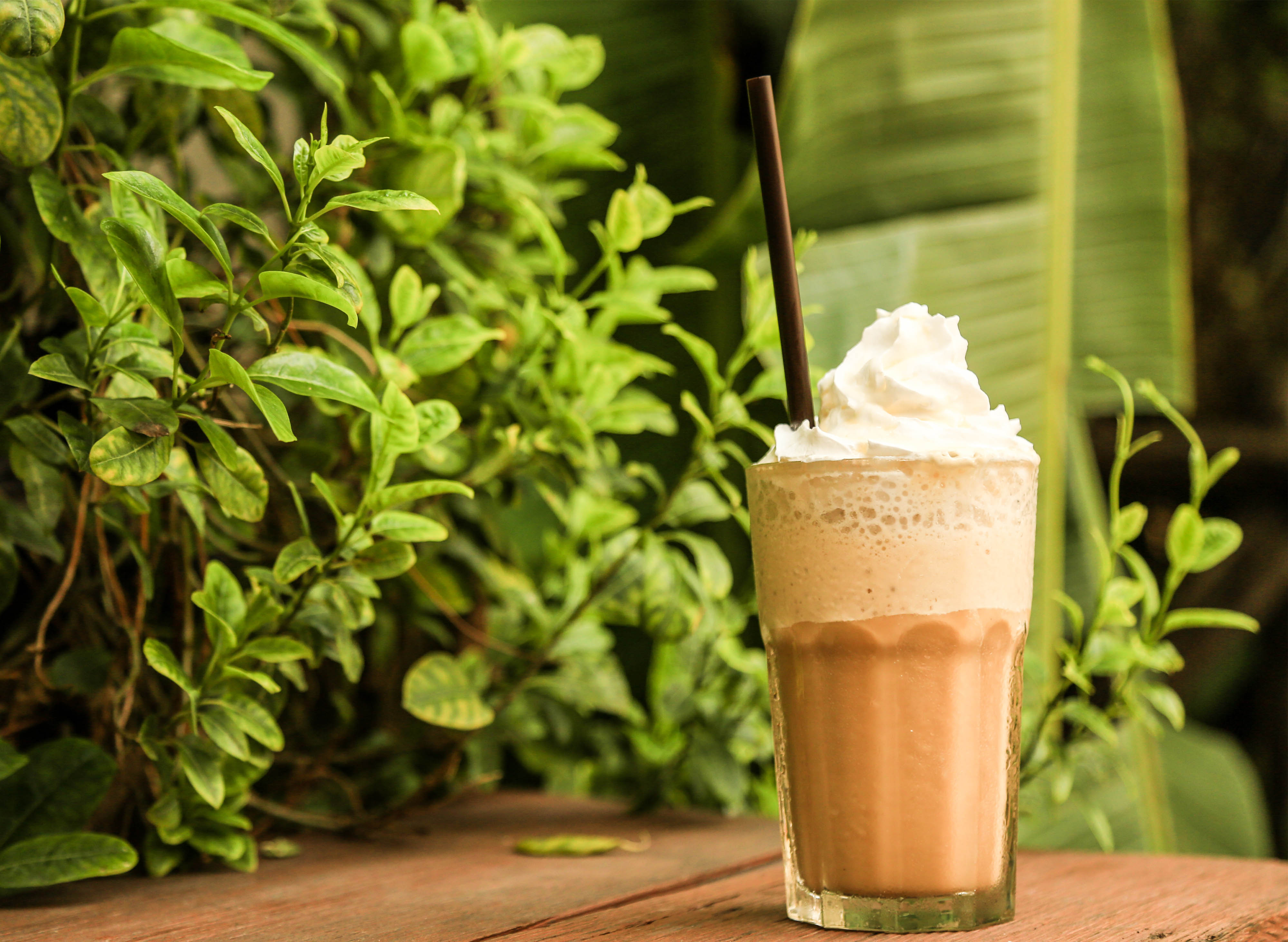 Orange Penguin KMCC Mall near me in Calamba Discover Beverages food