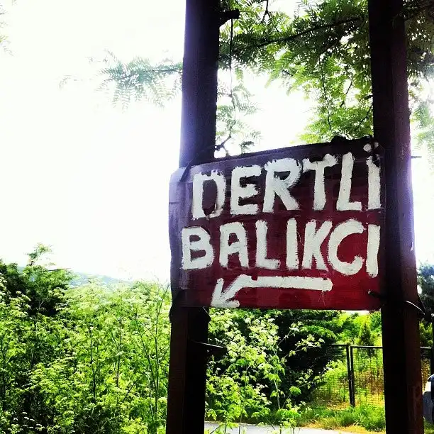 Dertli Balikci (terkos)'nin yemek ve ambiyans fotoğrafları 5