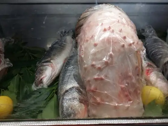 Olta Balık Silivri'nin yemek ve ambiyans fotoğrafları 23