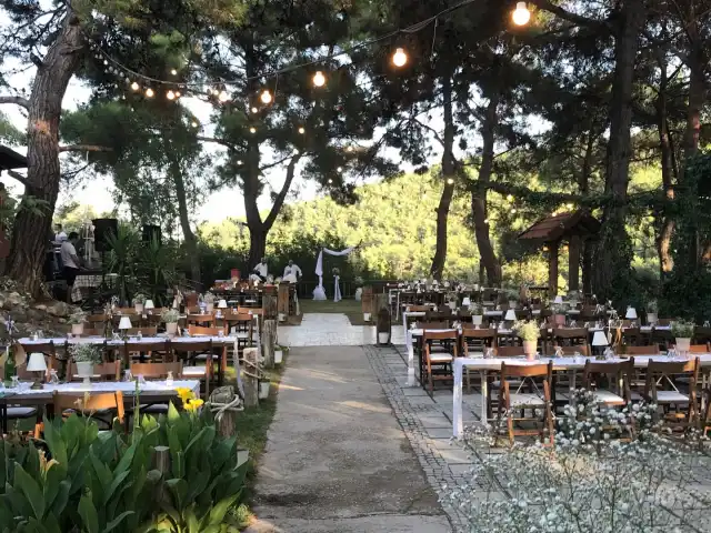 Badem Restorant'nin yemek ve ambiyans fotoğrafları 5