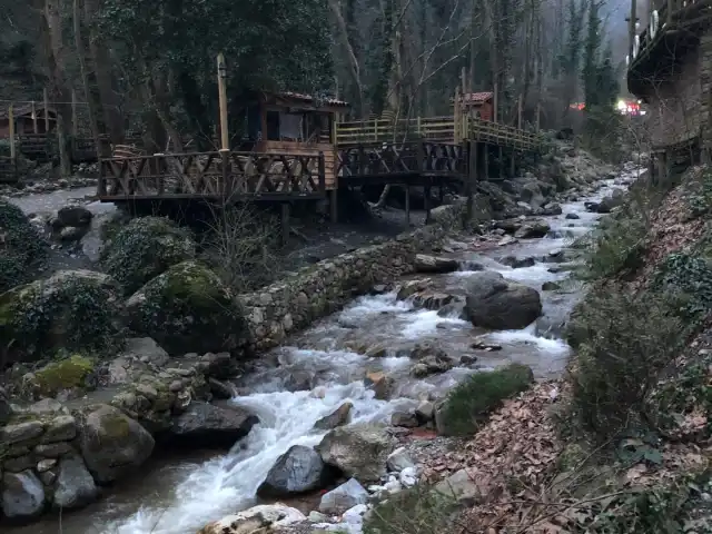 Saklıbahçe Alabalık Tesisleri'nin yemek ve ambiyans fotoğrafları 5