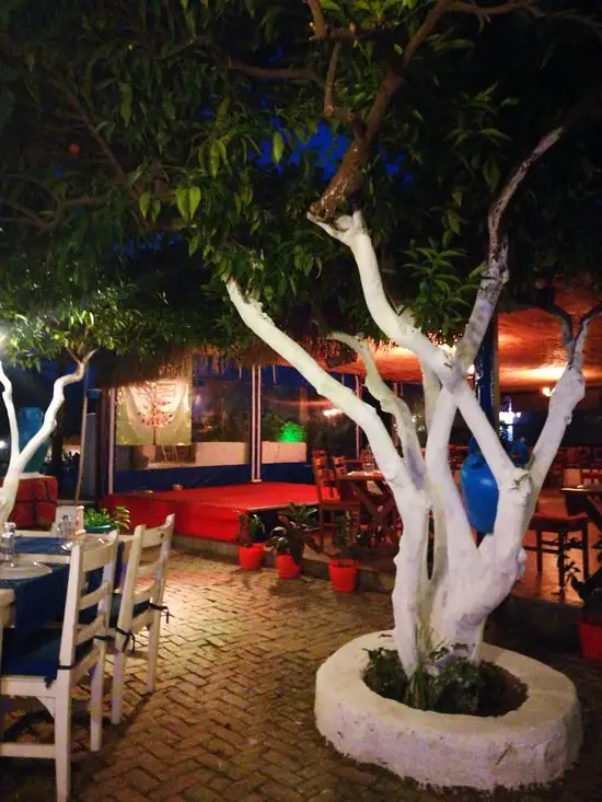 BAHÇE RESTAURANT'nin yemek ve ambiyans fotoğrafları 6