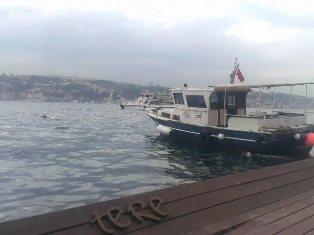 Tere Restoran/Bogazici'nin yemek ve ambiyans fotoğrafları 3