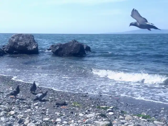 Mudanya Dalga Kıran Kafe'nin yemek ve ambiyans fotoğrafları 12