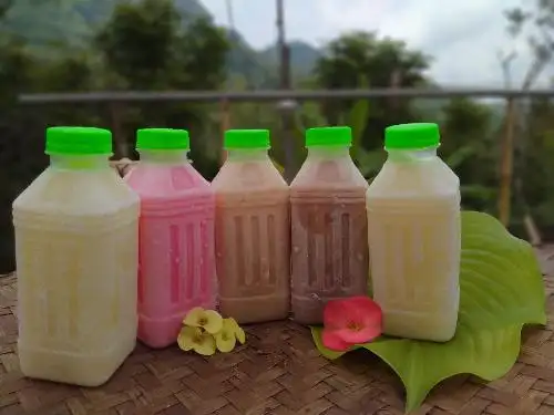 Susu Kambing Etawa Asli Magelang